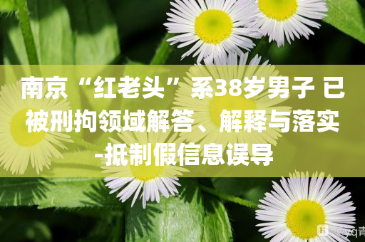 南京“紅老頭”系38歲男子 已被刑拘領(lǐng)域解答、解釋與落實-抵制假信息誤導(dǎo)