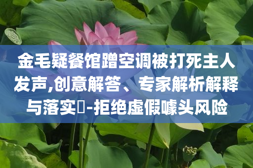 金毛疑餐館蹭空調(diào)被打死主人發(fā)聲,創(chuàng)意解答、專(zhuān)家解析解釋與落實(shí)?-拒絕虛假噱頭風(fēng)險(xiǎn)