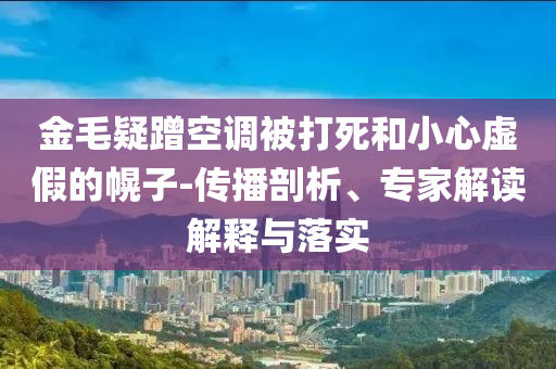 金毛疑蹭空調(diào)被打死和小心虛假的幌子-傳播剖析、專家解讀解釋與落實(shí)