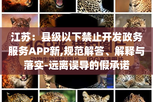 江蘇：縣級(jí)以下禁止開發(fā)政務(wù)服務(wù)APP新,規(guī)范解答、解釋與落實(shí)-遠(yuǎn)離誤導(dǎo)的假承諾