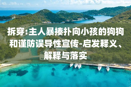 拆穿:主人暴揍撲向小孩的狗狗和謹(jǐn)防誤導(dǎo)性宣傳-啟發(fā)釋義、解釋與落實(shí)