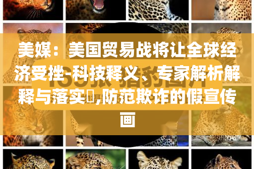 美媒：美國(guó)貿(mào)易戰(zhàn)將讓全球經(jīng)濟(jì)受挫-科技釋義、專家解析解釋與落實(shí)?,防范欺詐的假宣傳畫