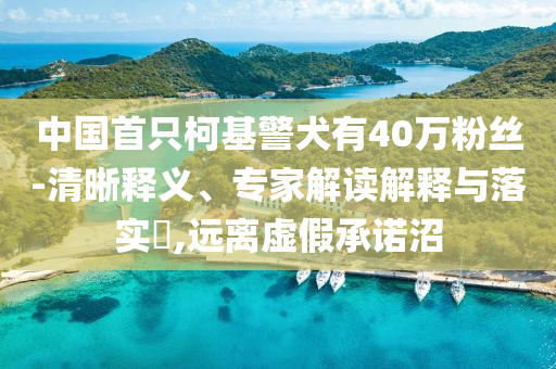 中國(guó)首只柯基警犬有40萬(wàn)粉絲-清晰釋義、專家解讀解釋與落實(shí)?,遠(yuǎn)離虛假承諾沼