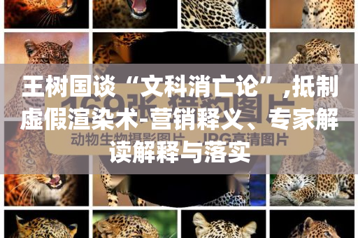 王樹國(guó)談“文科消亡論”,抵制虛假渲染術(shù)-營(yíng)銷釋義、專家解讀解釋與落實(shí)