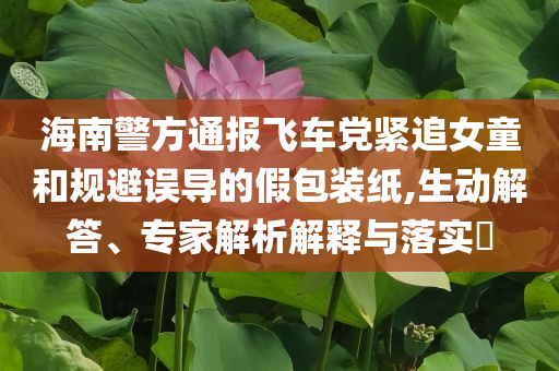海南警方通報飛車黨緊追女童和規(guī)避誤導的假包裝紙,生動解答、專家解析解釋與落實?