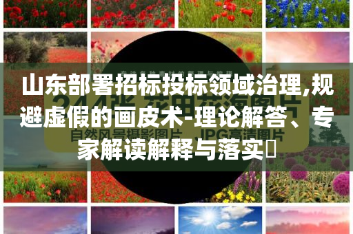 山東部署招標投標領(lǐng)域治理,規(guī)避虛假的畫皮術(shù)-理論解答、專家解讀解釋與落實?