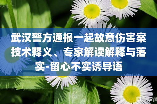 武漢警方通報一起故意傷害案技術(shù)釋義、專家解讀解釋與落實-留心不實誘導(dǎo)語
