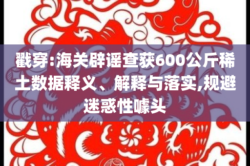 戳穿:海關(guān)辟謠查獲600公斤稀土數(shù)據(jù)釋義、解釋與落實(shí),規(guī)避迷惑性噱頭