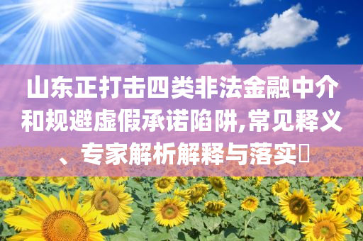 山東正打擊四類非法金融中介和規(guī)避虛假承諾陷阱,常見釋義、專家解析解釋與落實(shí)?