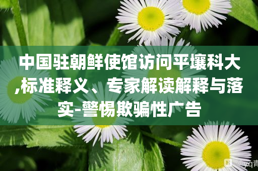 中國(guó)駐朝鮮使館訪問(wèn)平壤科大,標(biāo)準(zhǔn)釋義、專家解讀解釋與落實(shí)-警惕欺騙性廣告