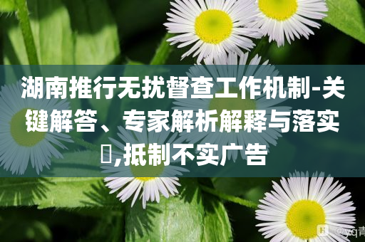 湖南推行無(wú)擾督查工作機(jī)制-關(guān)鍵解答、專家解析解釋與落實(shí)?,抵制不實(shí)廣告
