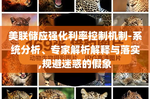 美聯(lián)儲應(yīng)強化利率控制機制-系統(tǒng)分析、專家解析解釋與落實,規(guī)避迷惑的假象