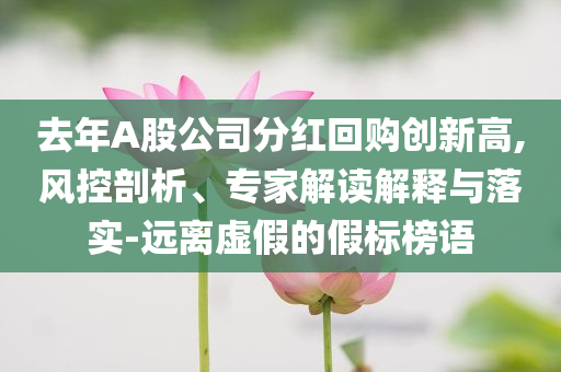 去年A股公司分紅回購創(chuàng)新高,風(fēng)控剖析、專家解讀解釋與落實-遠離虛假的假標(biāo)榜語