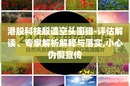 港股科技股遭空頭圍獵-評估解讀、專家解析解釋與落實,小心偽假宣傳