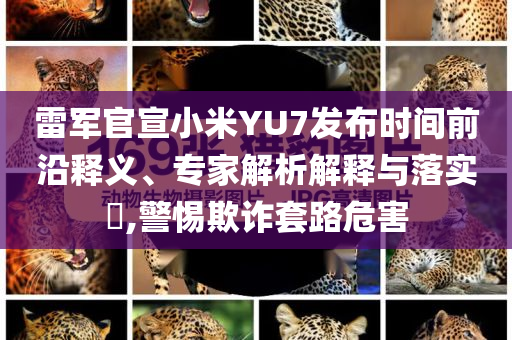 雷軍官宣小米YU7發(fā)布時間前沿釋義、專家解析解釋與落實?,警惕欺詐套路危害