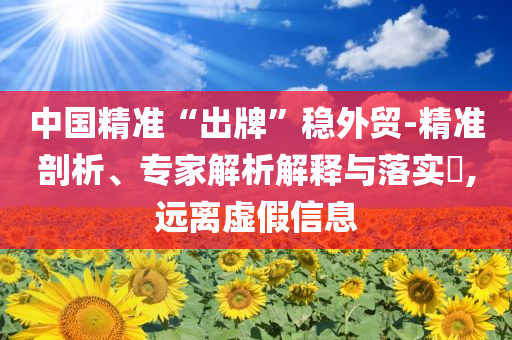 中國(guó)精準(zhǔn)“出牌”穩(wěn)外貿(mào)-精準(zhǔn)剖析、專家解析解釋與落實(shí)?,遠(yuǎn)離虛假信息