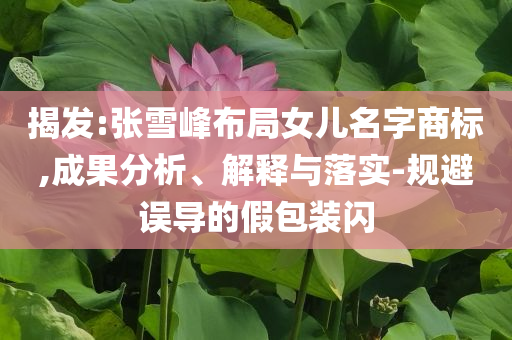 揭發(fā):張雪峰布局女兒名字商標(biāo),成果分析、解釋與落實(shí)-規(guī)避誤導(dǎo)的假包裝閃