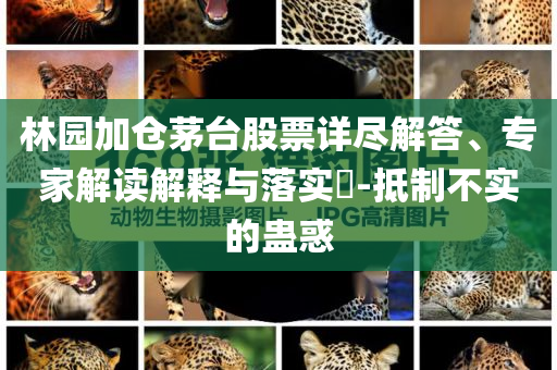 林園加倉茅臺股票詳盡解答、專家解讀解釋與落實?-抵制不實的蠱惑