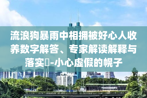 流浪狗暴雨中相擁被好心人收養(yǎng)數(shù)字解答、專家解讀解釋與落實(shí)?-小心虛假的幌子