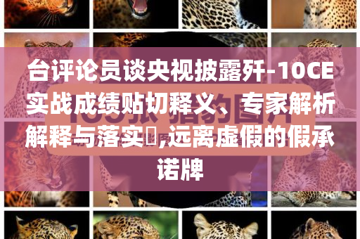 臺評論員談央視披露殲-10CE實戰(zhàn)成績貼切釋義、專家解析解釋與落實?,遠離虛假的假承諾牌
