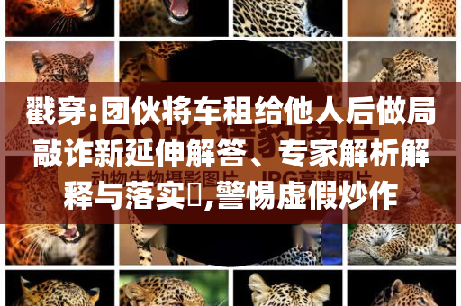 戳穿:團(tuán)伙將車租給他人后做局敲詐新延伸解答、專家解析解釋與落實(shí)?,警惕虛假炒作