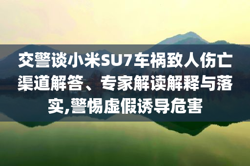 交警談小米SU7車禍致人傷亡渠道解答、專家解讀解釋與落實(shí),警惕虛假誘導(dǎo)危害