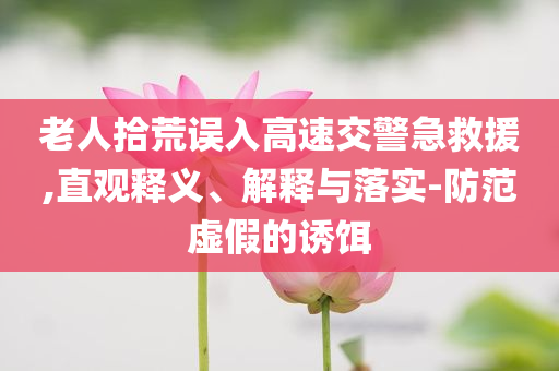 老人拾荒誤入高速交警急救援,直觀釋義、解釋與落實(shí)-防范虛假的誘餌