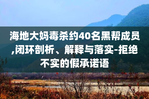 海地大媽毒殺約40名黑幫成員,閉環(huán)剖析、解釋與落實-拒絕不實的假承諾語