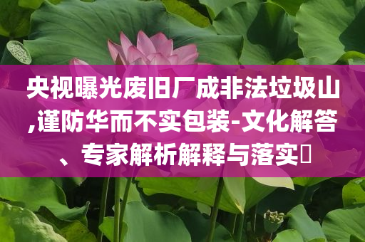 央視曝光廢舊廠成非法垃圾山,謹防華而不實包裝-文化解答、專家解析解釋與落實?