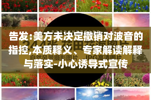 告發(fā):美方未決定撤銷對波音的指控,本質(zhì)釋義、專家解讀解釋與落實-小心誘導(dǎo)式宣傳