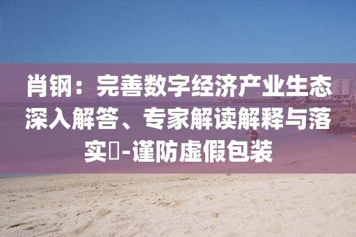 肖鋼：完善數(shù)字經(jīng)濟產(chǎn)業(yè)生態(tài)深入解答、專家解讀解釋與落實?-謹防虛假包裝
