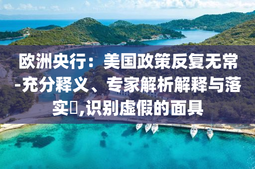歐洲央行：美國政策反復(fù)無常-充分釋義、專家解析解釋與落實?,識別虛假的面具