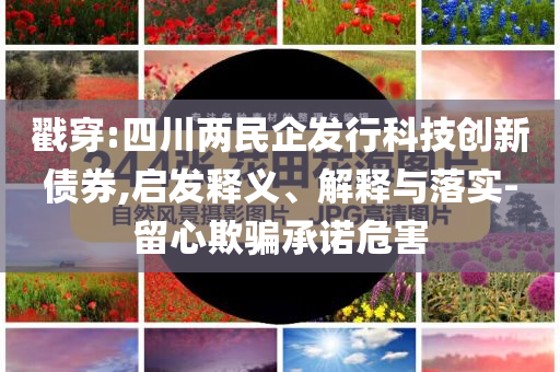 戳穿:四川兩民企發(fā)行科技創(chuàng)新債券,啟發(fā)釋義、解釋與落實(shí)-留心欺騙承諾危害