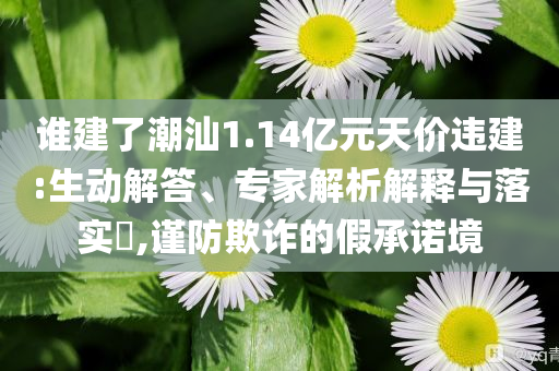 誰建了潮汕1.14億元天價(jià)違建:生動(dòng)解答、專家解析解釋與落實(shí)?,謹(jǐn)防欺詐的假承諾境