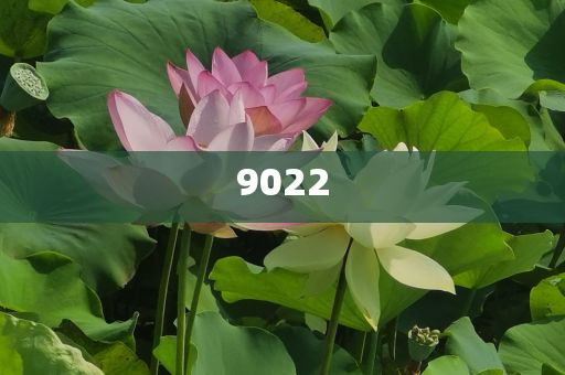 戳穿:女子洗澡時(shí)從香皂里洗出金幣通俗釋義、專家解析解釋與落實(shí)?-抵制誤導(dǎo)的假把式
