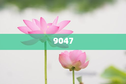 魏建軍稱35歲不應(yīng)該是終點(diǎn),拒絕虛假推銷阱-效率解讀、專家解析解釋與落實(shí)
