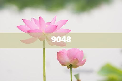 頻繁洗頭脫發(fā)是誤解,遠(yuǎn)離欺騙的迷霧-效率解讀、解釋與落實(shí)