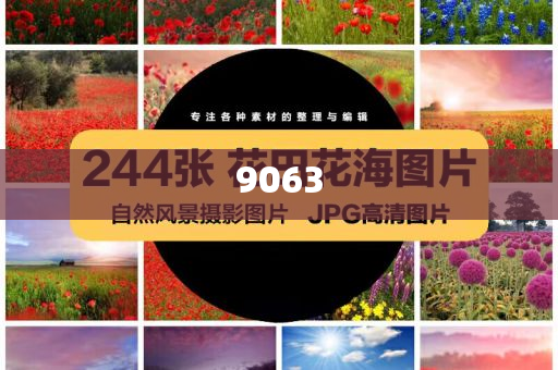懷疑:田栩?qū)幨钦l？和規(guī)避誤導(dǎo)的假包裝紙,成果分析、解釋與落實(shí)