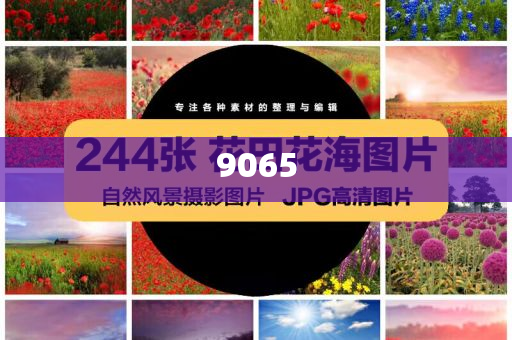 蘇州法院發(fā)懸賞公告,防范迷惑性推廣-預(yù)防剖析、專家解析解釋與落實