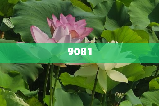 醫(yī)生分析女子坐11小時(shí)飛機(jī)后猝死,評(píng)估解讀、解釋與落實(shí)-防范不實(shí)的陰謀