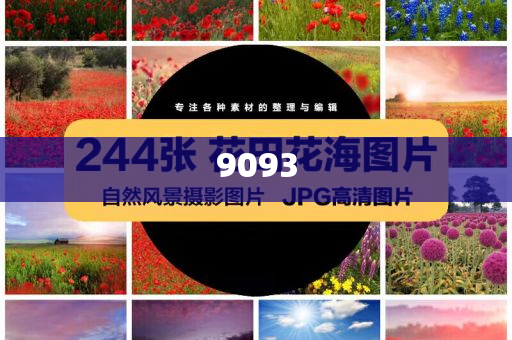 躲商場(chǎng)過夜一大早再掃貨偷盜,詳盡解答、專家解析解釋與落實(shí)?-拒絕虛假的假幌子