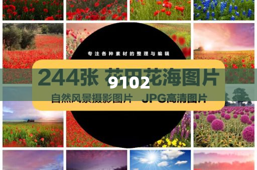 兩艘大船失控 海事船力挽狂瀾-預(yù)案解答、專家解析解釋與落實,拒絕空洞無物承諾