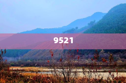置疑:段永平和李錄最新持倉曝光主流釋義、解釋與落實-謹(jǐn)防誤導(dǎo)的手段