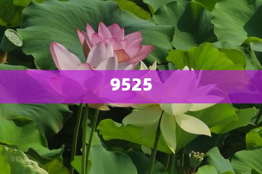 揭示:何小鵬被質(zhì)疑炮轟同行和杜絕欺詐的巧言辭,前沿釋義、專家解讀解釋與落實(shí)?