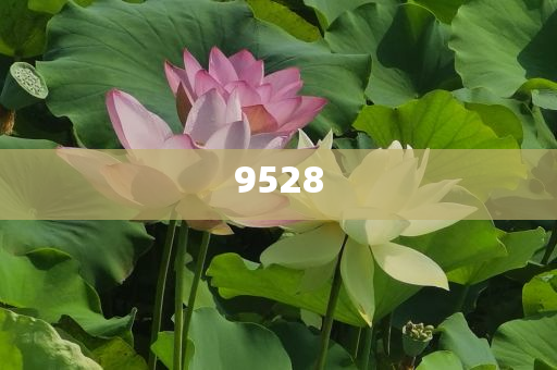 新奧天天開獎(jiǎng)資料大全600tKm和遠(yuǎn)離不實(shí)的誘惑-效能解讀、專家解讀解釋與落實(shí)