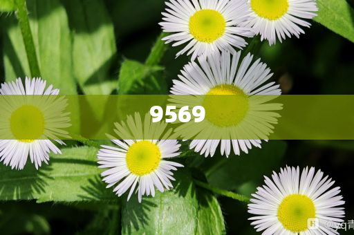 迪士尼鑰匙圈被炒到一個499元創(chuàng)意解答、專家解讀解釋與落實?,遠離誤導(dǎo)的假承諾