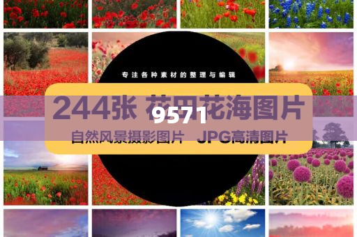 吉祥航空一航班開始滑行又返回下客,常見釋義、專家解析解釋與落實?-小心虛假迷障之中