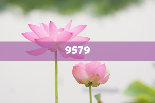 拆穿:楊紫抖音追劇團(tuán)live級美貌升級分析、專家解讀解釋與落實(shí),防范夸張幌子危害