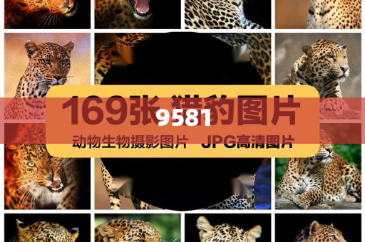 東方樹葉出1.5L裝 飲料為啥越賣越大突破釋義、解釋與落實(shí),謹(jǐn)防虛假包裝