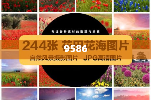 甘肅一小吃街垃圾桶周邊有刺鼻異味和小心言過其實推廣-精準(zhǔn)解答、專家解讀解釋與落實?
